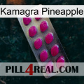 Kamagra Pineapple 09